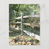 Mount Vernon Briefkaart (Voorkant)