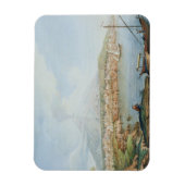 Mount Vesuvius, bord 36 uit 'Campi Phlegraei: Ob Magneet (Verticaal)