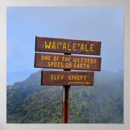 Mount Waialeale Sign, Kauai, Hawaii Poster (Voorkant)