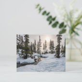 Mount Washington, Brits-Columbia Briefkaart (Staand voorkant)