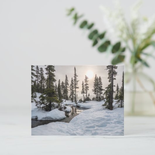 Mount Washington, Brits-Columbia Briefkaart (Staand voorkant)