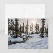 Mount Washington, Brits-Columbia Briefkaart (Voorkant / Achterkant)