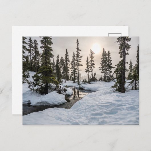 Mount Washington, Brits-Columbia Briefkaart (Voorkant / Achterkant)