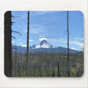 Mount Washington, Oregon Muismat