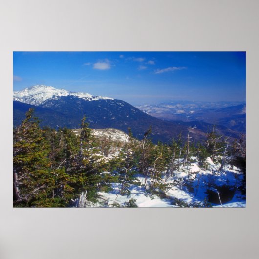Mount Washington Winter Treeline Uitzicht Poster (Voorkant)