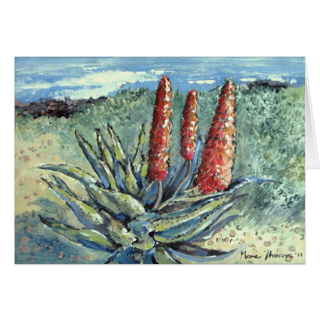 Mountain Aloe (Voorkant Horizontaal)