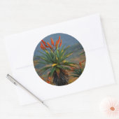 Mountain Aloe 2 Ronde Sticker (Envelop)