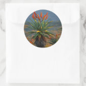 Mountain Aloe 2 Ronde Sticker (Tas)