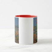 Mountain Aloe (Aloe Marlothii Berger) 2 Mok (Midden)