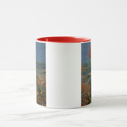 Mountain Aloe (Aloe Marlothii Berger) 2 Mok (Midden)