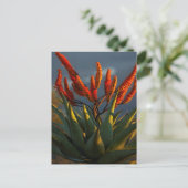 Mountain Aloe (Aloe Marlothii Berger) Briefkaart (Staand voorkant)