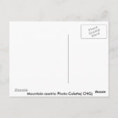 Mountain Austria Photo:Colette( CHG) Briefkaart (Achterkant)