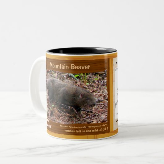 Mountain Beaver, een bedreigde knaagdiersoort, zij Tweekleurige Koffiemok (Voorkant links)