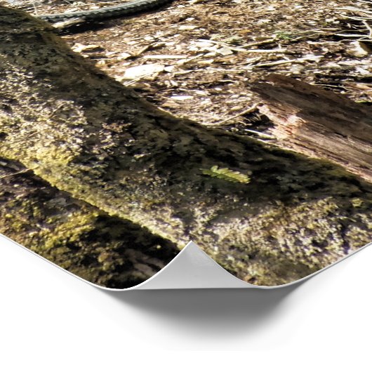 MOUNTAIN BIKES POSTER (Hoek)