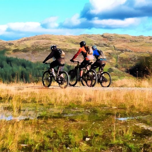 MOUNTAIN BIKING BUMPERSTICKER