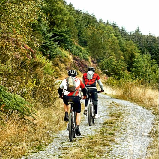 MOUNTAIN BIKING CANVAS AFDRUK