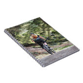 MOUNTAIN BIKING NOTITIEBOEK (Rechterzijde)