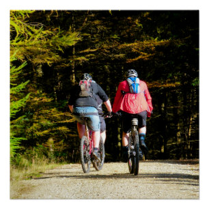 MOUNTAIN BIKING PERFECT POSTER