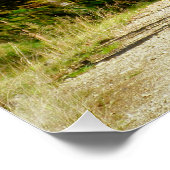 MOUNTAIN BIKING PERFECT POSTER (Hoek)