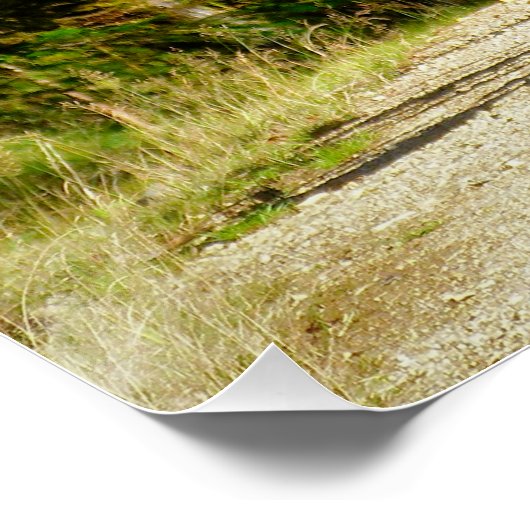 MOUNTAIN BIKING PERFECT POSTER (Hoek)