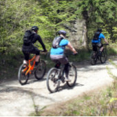 MOUNTAIN BIKING PLANNER