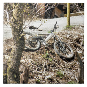 MOUNTAIN BIKING TEGELTJE