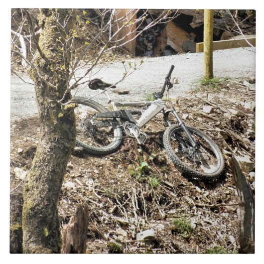 MOUNTAIN BIKING TEGELTJE (Voorkant)