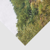 MOUNTAIN BIKING TISSUEPAPIER (Detail)