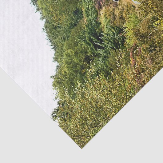 MOUNTAIN BIKING TISSUEPAPIER (Detail)