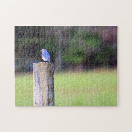 Mountain Blue Bird - 11x14 inch Legpuzzel (Horizontaal)