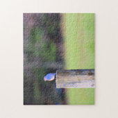 Mountain Blue Bird - 11x14 inch Legpuzzel (Verticaal)