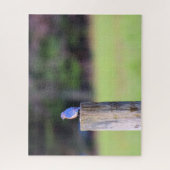 Mountain Blue Bird - 16x20 inch Legpuzzel (Verticaal)