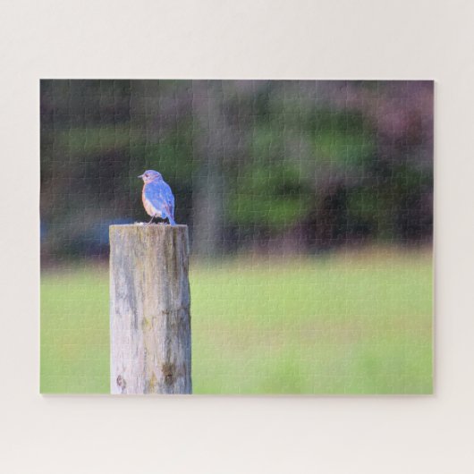 Mountain Blue Bird - 16x20 inch Legpuzzel (Horizontaal)