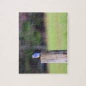 Mountain Blue Bird - 8 x 10 inch Legpuzzel (Verticaal)