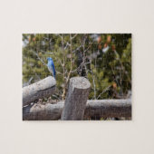 Mountain Blue Jay - 8 x 10 - 110 pcs Legpuzzel (Horizontaal)