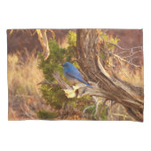 Mountain Bluebird at Arches National Park Kussensloop (Voorkant)