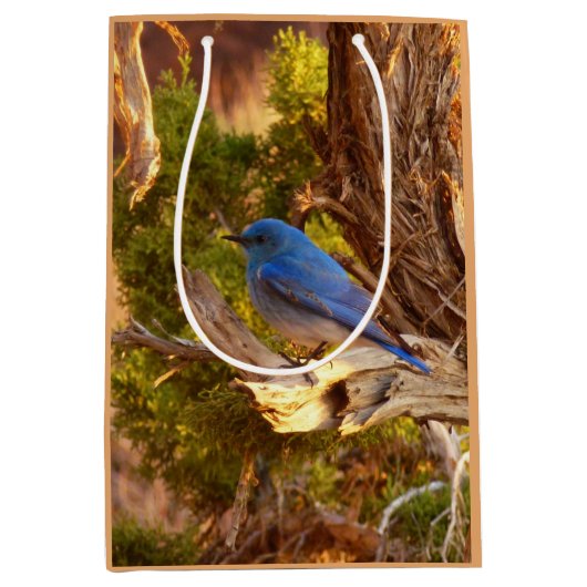 Mountain Bluebird at Arches National Park Medium Cadeauzakje (Voorkant)