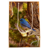 Mountain Bluebird at Arches National Park Medium Cadeauzakje (Achterkant)