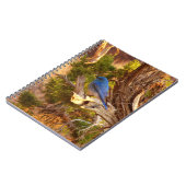 Mountain Bluebird at Arches National Park Notitieboek (Linkerzijde)