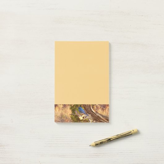 Mountain Bluebird at Arches National Park Post-it® Notes (Op bureau)