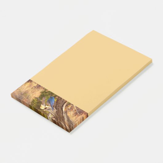 Mountain Bluebird at Arches National Park Post-it® Notes (Schuin)