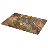 Mountain Bluebird at Arches National Park Snijplank (Hoek)