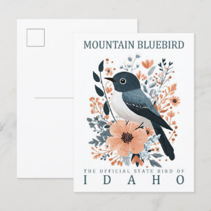 Mountain Bluebird Bird of Idaho Verenigde Staten Briefkaart