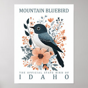 Mountain Bluebird Bird of Idaho Verenigde Staten Poster