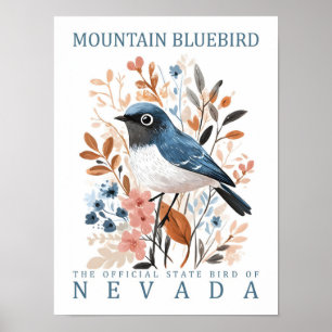 Mountain Bluebird Bird of Nevada Verenigde Staten Poster