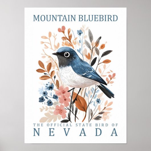 Mountain Bluebird Bird of Nevada Verenigde Staten Poster (Voorkant)