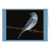 Mountain Bluebird Card (Voorkant Horizontaal)