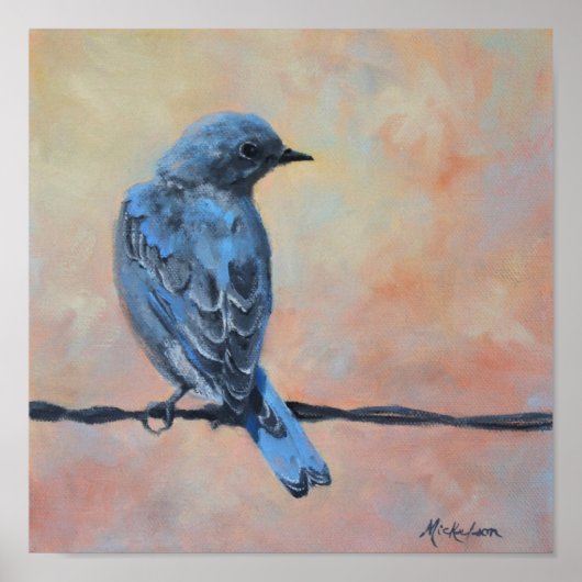 Mountain Bluebird Fine Art Print (Voorkant)