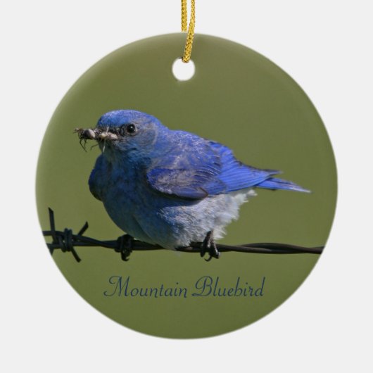 Mountain Bluebird Photography Round Keramisch Ornament (Voorkant)