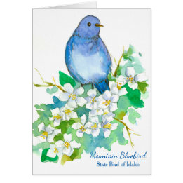 Mountain Bluebird State Vogel van Idaho Blank